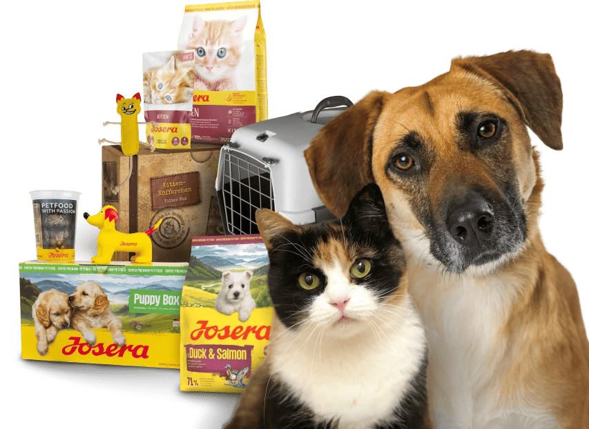 Adoptionspakete mit Puppy-Box, Kitten-Köfferchen, Futter, Messbecher und Spielzeug, daneben ein Hund und eine Katze